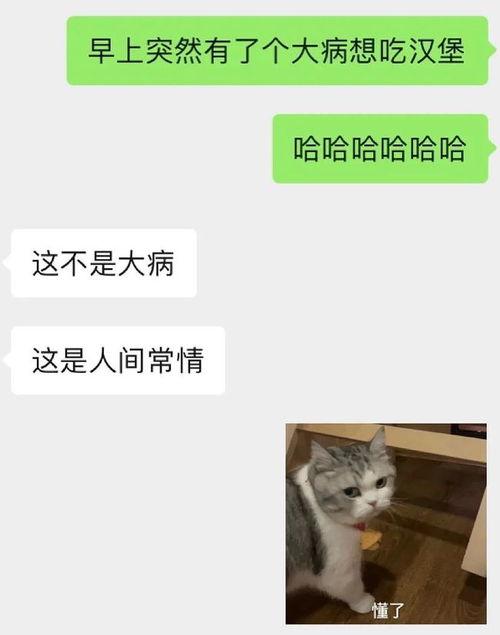 小言吃瓜了吗,小言吃瓜了吗？揭秘娱乐圈最新热点事件
