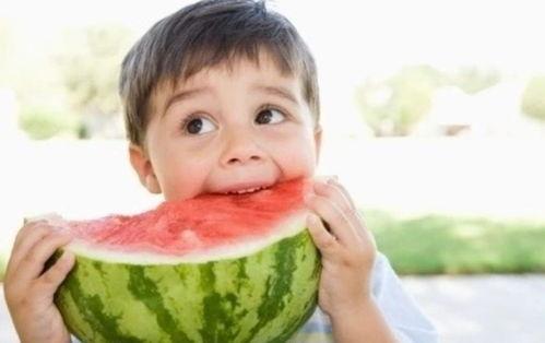 虎吃瓜早教幼儿,趣味启蒙，助力幼儿快乐成长