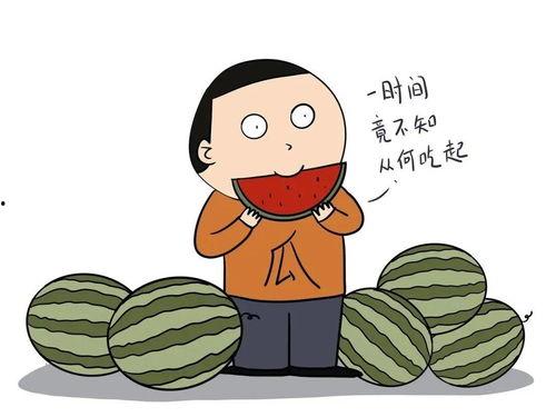 网络用语吃瓜英语,揭秘网络“吃瓜”英语的流行文化