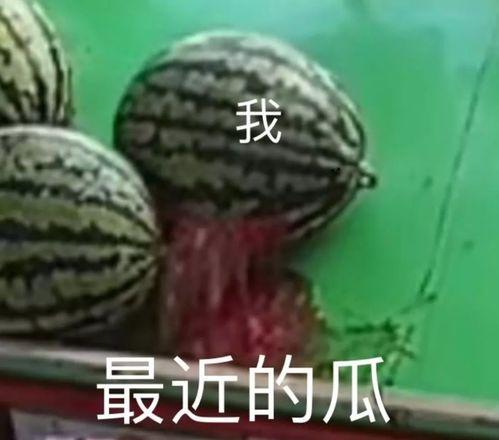 吃瓜速度,揭秘吃瓜达人如何一秒尝遍天下瓜