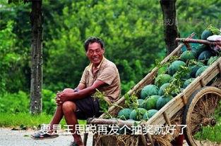 吃瓜吃死的人,竟致悲剧人生