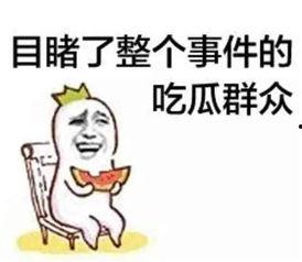 开朗带你吃瓜,揭秘娱乐圈那些事儿
