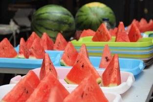 吃瓜群众瓜王本瓜的意思,揭秘吃瓜群众的狂欢盛宴