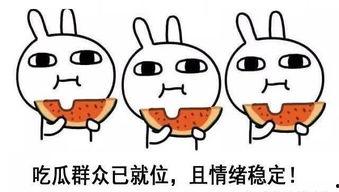 吃瓜尘嚣,揭秘网络舆论背后的真相与影响